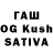 Бошки марихуана White Widow Afgan Mahmudov