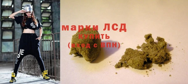 ПСИЛОЦИБИНОВЫЕ ГРИБЫ Инсар