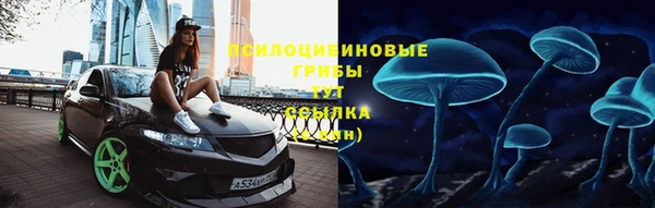 тгк Инта
