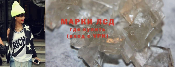 ПСИЛОЦИБИНОВЫЕ ГРИБЫ Инсар