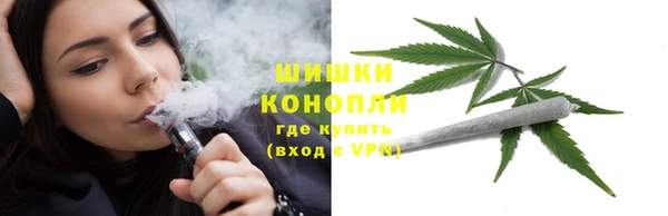тгк Инта