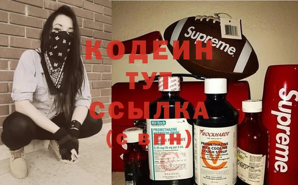 тгк Инта