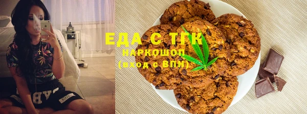 ПСИЛОЦИБИНОВЫЕ ГРИБЫ Инсар