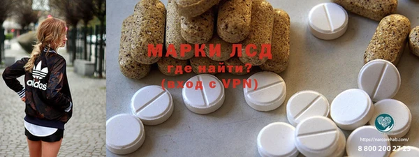 тгк Инта