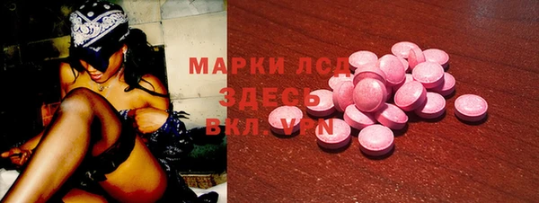 тгк Инта