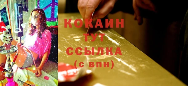 тгк Инта