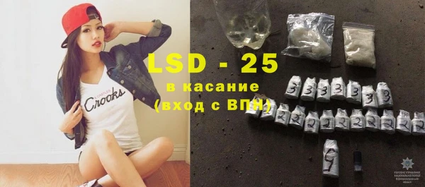 ПСИЛОЦИБИНОВЫЕ ГРИБЫ Инсар