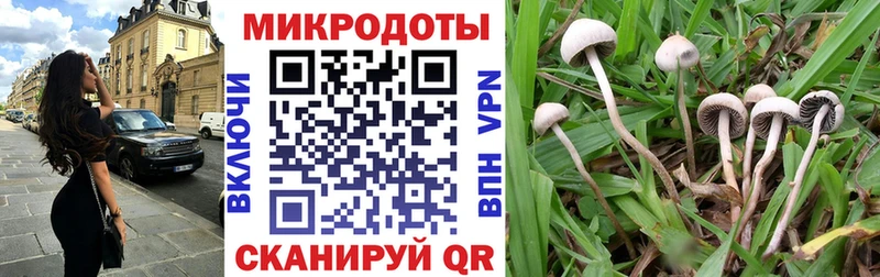Галлюциногенные грибы ЛСД  Купить закладки  Крым 